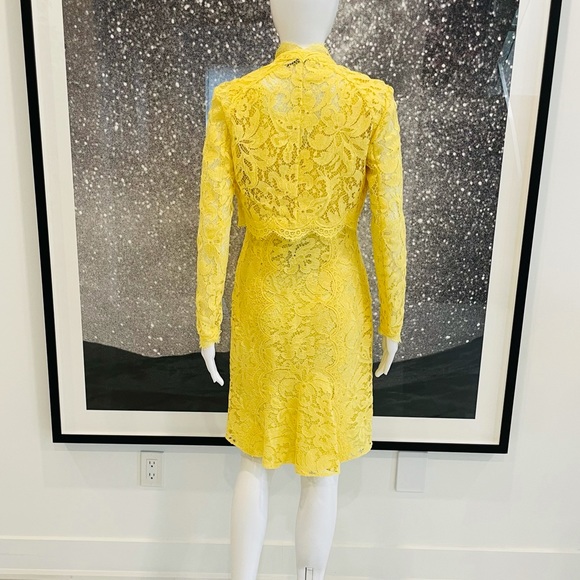 Emilio Pucci Corded Lace Dress & Jacket - Picture 4 of 15